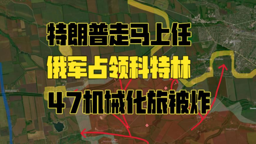 福宝给大家送福了,神机妙算刘伯温大结局,准确资料解释落实_移动版V12.2