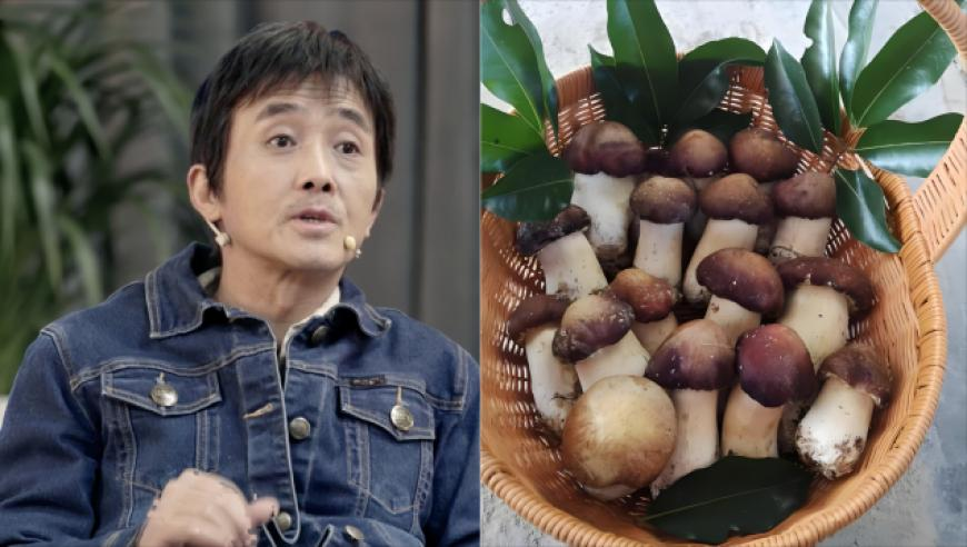 白敬亭章若楠破冰第一课,管家婆三肖一码管家婆三肖三码,详细释义解释落实_影像版V1.94