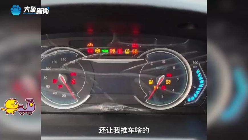 澳门天天彩免费资料大全新版香港应用介绍,中国舞狮看广东,经典解释落实_公测版V8.97