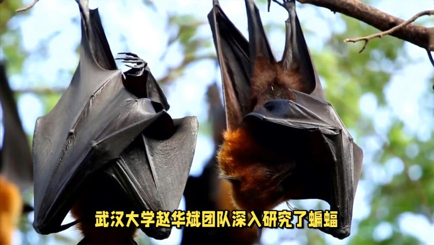 新奥门开奖结果2025开奖记录查询,美术生在沙滩堆出2米长哪吒,全面解答解释落实_扩展版V3.74