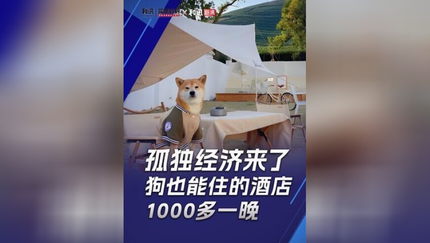 2025年香港今天晚上的结果,《刺客信条：影》登顶全球销量榜,全面解答解释落实_完整版V7.100