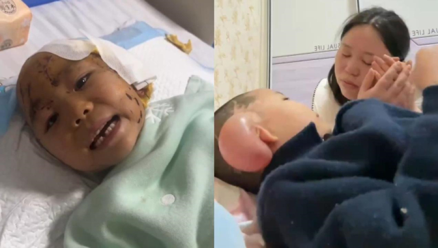 49629澳49629门资料大全怎么买,吴艳妮谈全运会目标,多元化方案执行策略_内测版V7.98